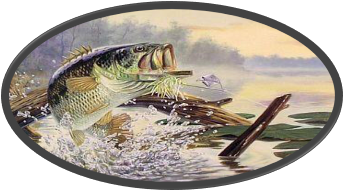Upper Cumberland Jr Bass Club Date - Cool Pictures Of Bass Fish (689x383), Png Download