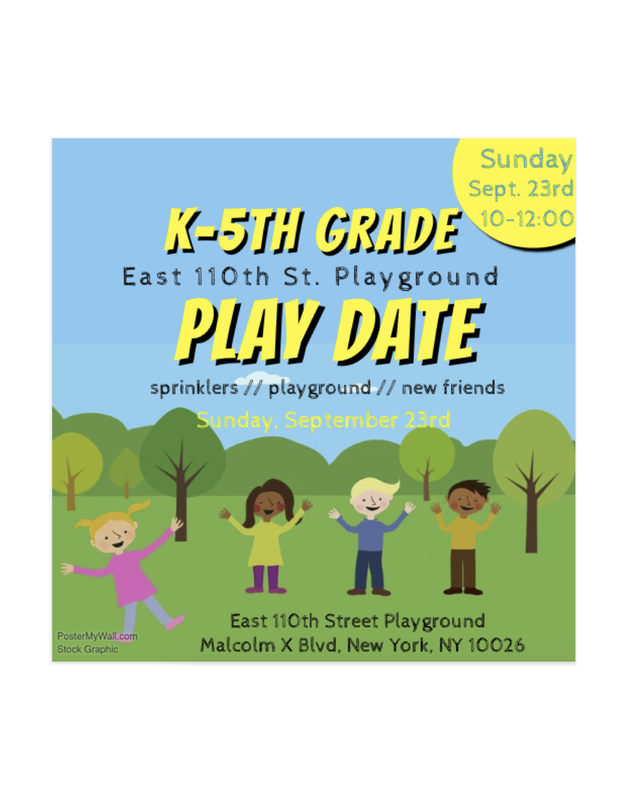 Picture - Instagram (800x800), Png Download