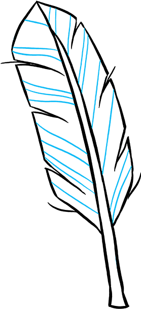How To Draw Feather - Drawing (680x678), Png Download