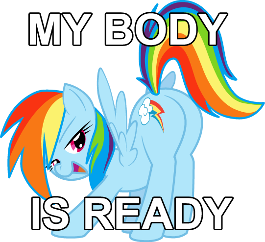 My Bo Is Ready Rainbow Dash Text Vertebrate Clip Art - Cumming In Rainbow Dash (541x494), Png Download