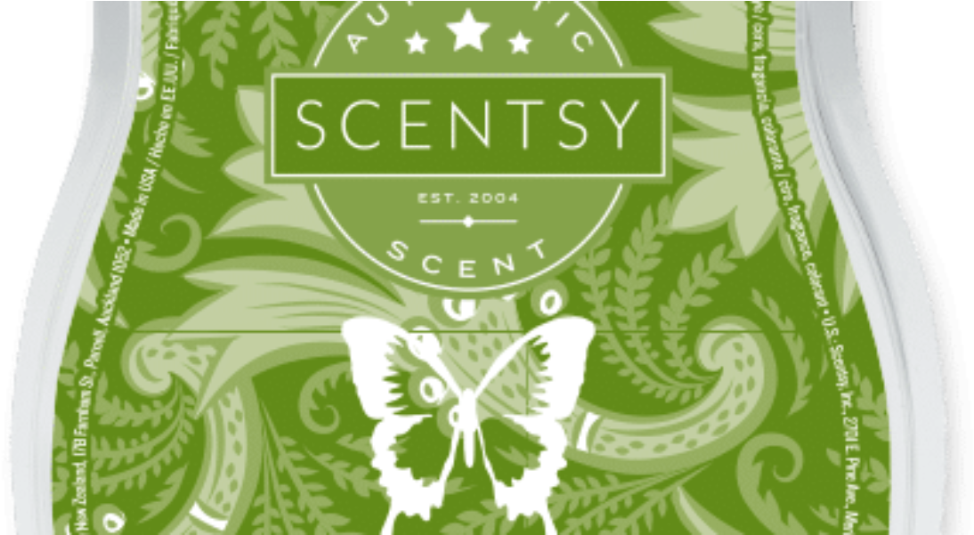 Sea Salt & Avocado - Scentsy (1620x600), Png Download