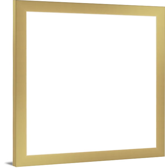Hidden Hidden Hidden - Picture Frame (529x540), Png Download