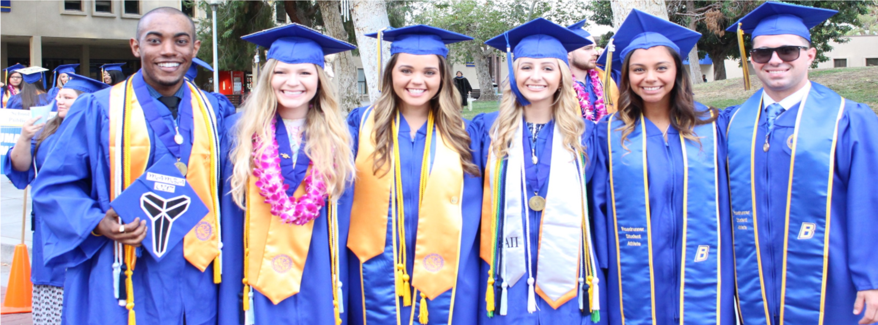Csub Approved Banner Photo - Csub Cum Laude (3757x1040), Png Download
