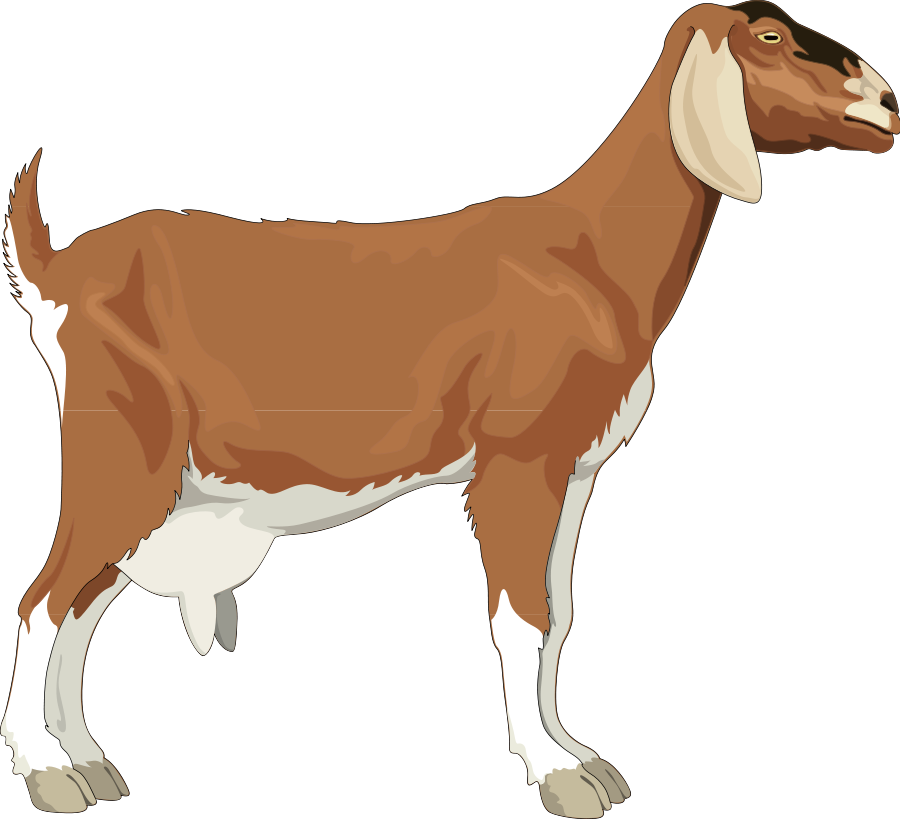 Download This Free Clipart Png Design Of Goat Clipart Full Size Png Image Pngkit