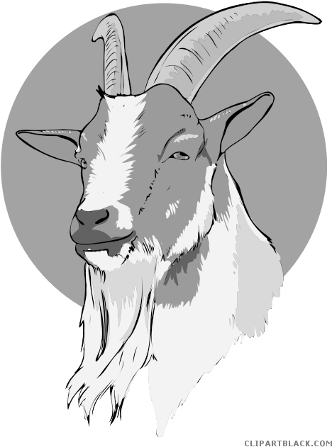Clipart Goat Head - Greatest Of All Time Goat (500x645), Png Download