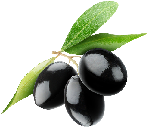 Frantoio Extra Virgin Olive Oil - Olives Png (500x428), Png Download