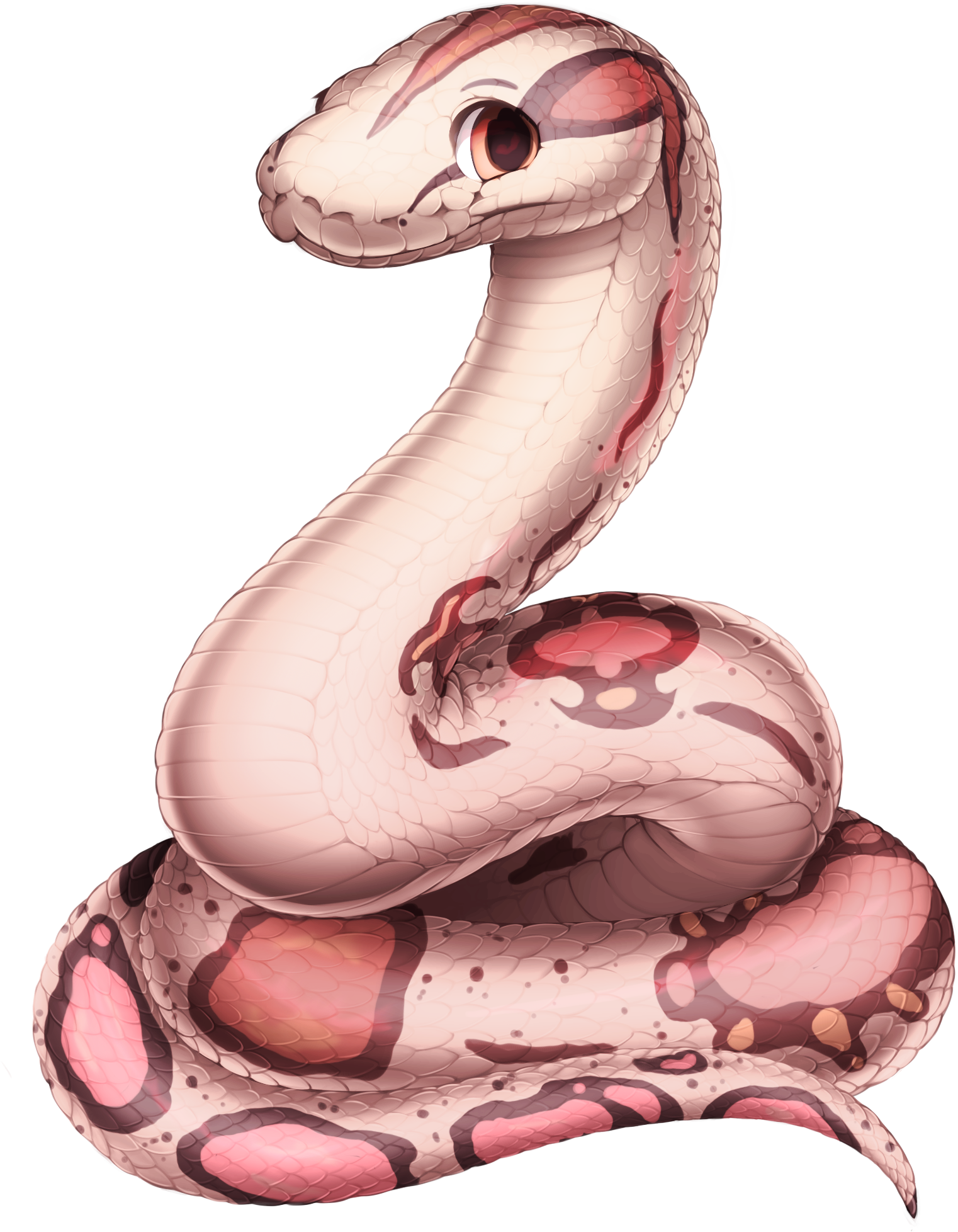 Profile - Illustration (1578x2121), Png Download
