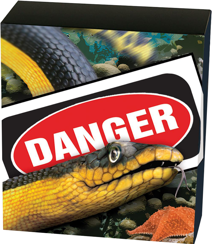 Zoom - Yellow Bellied Black Sea Snake (800x800), Png Download