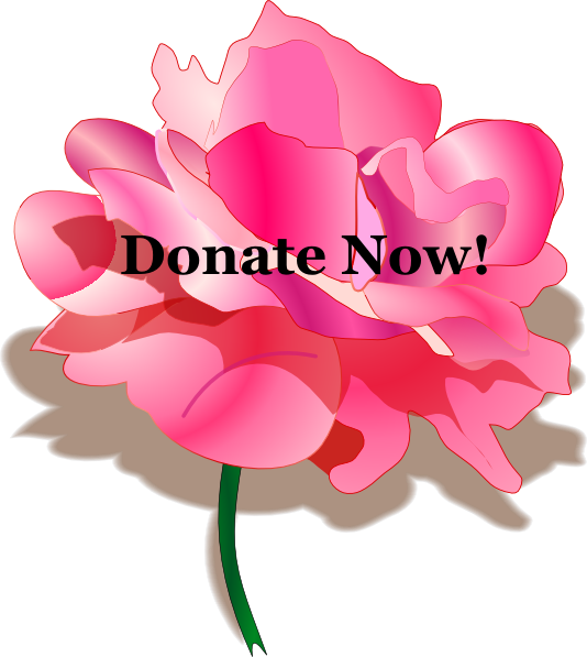 Rose Clip Art (534x597), Png Download