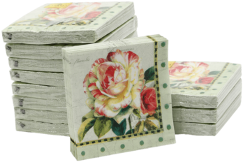 Colorful Printed Napkin Party Theme Hotel Paper Napkin - Framed Photographic Print: Garden View Iii : 19x16in (350x350), Png Download