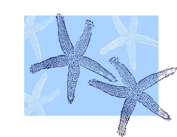 Star Fish Background Svg Clip Arts 600 X 462 Px (600x462), Png Download