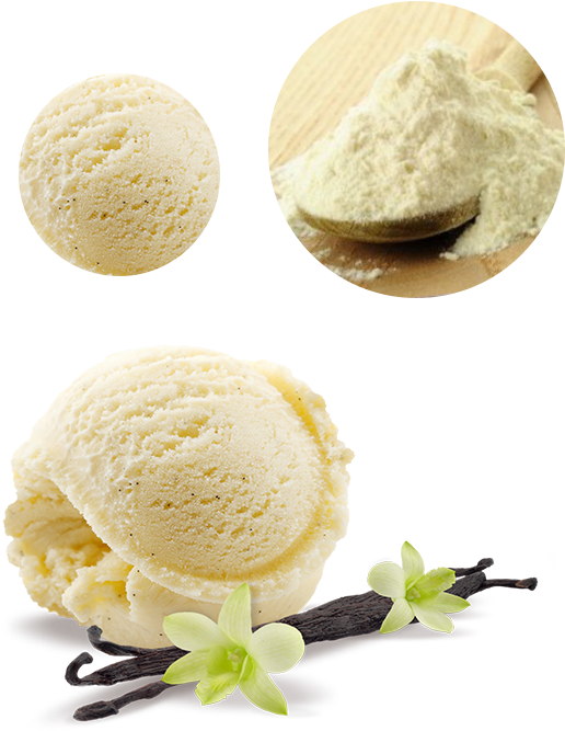 Ice Cream Vanilla Png (583x744), Png Download