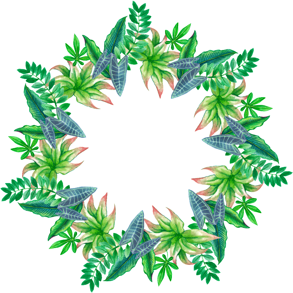 Hand Painted Tropical Leaves Stars Ring Png Transparent - Portable Network Graphics (1024x1018), Png Download