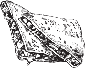 Quesadilla - Quesadilla Sketch (457x435), Png Download