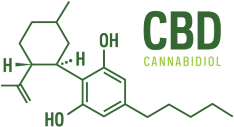 What A Cbd Molecule Looks Like - Cbd Molecule (480x277), Png Download