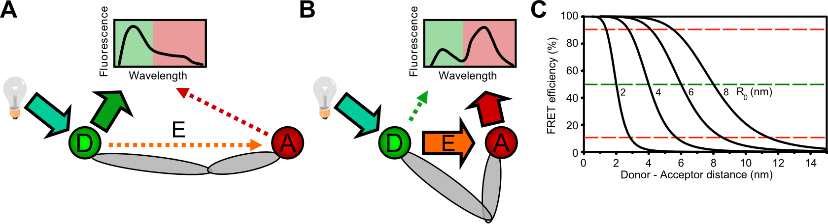 A Donor Fluorophore (green) Is Excited By A Light Source - Forster Resonance Energy Transfer (1680x456), Png Download