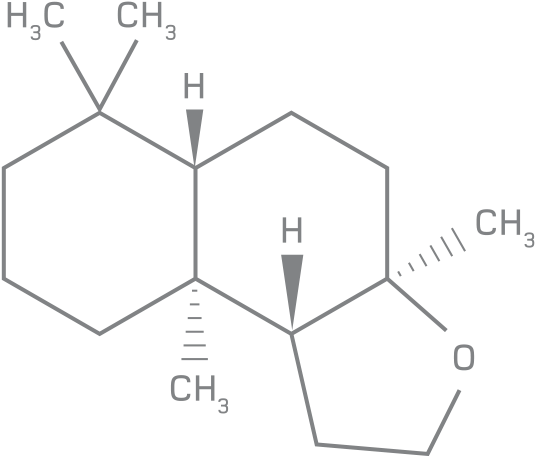 Escentric Molecules 01 Formula - Eau De Toilette (661x456), Png Download