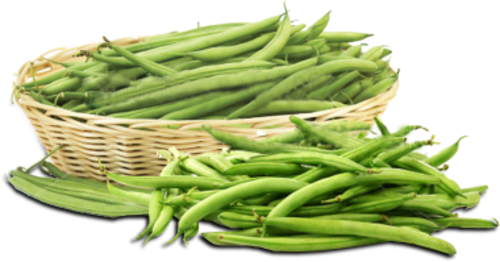 French Beans - Lidl Sperziebonen Prijs (500x262), Png Download
