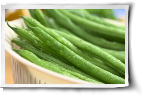 Diseases For Snap Beans (500x344), Png Download