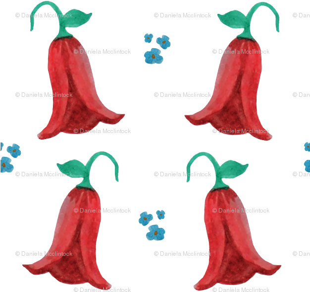 Copihue Flower- National Flower Of Chile Wallpaper - Lapageria (625x625), Png Download