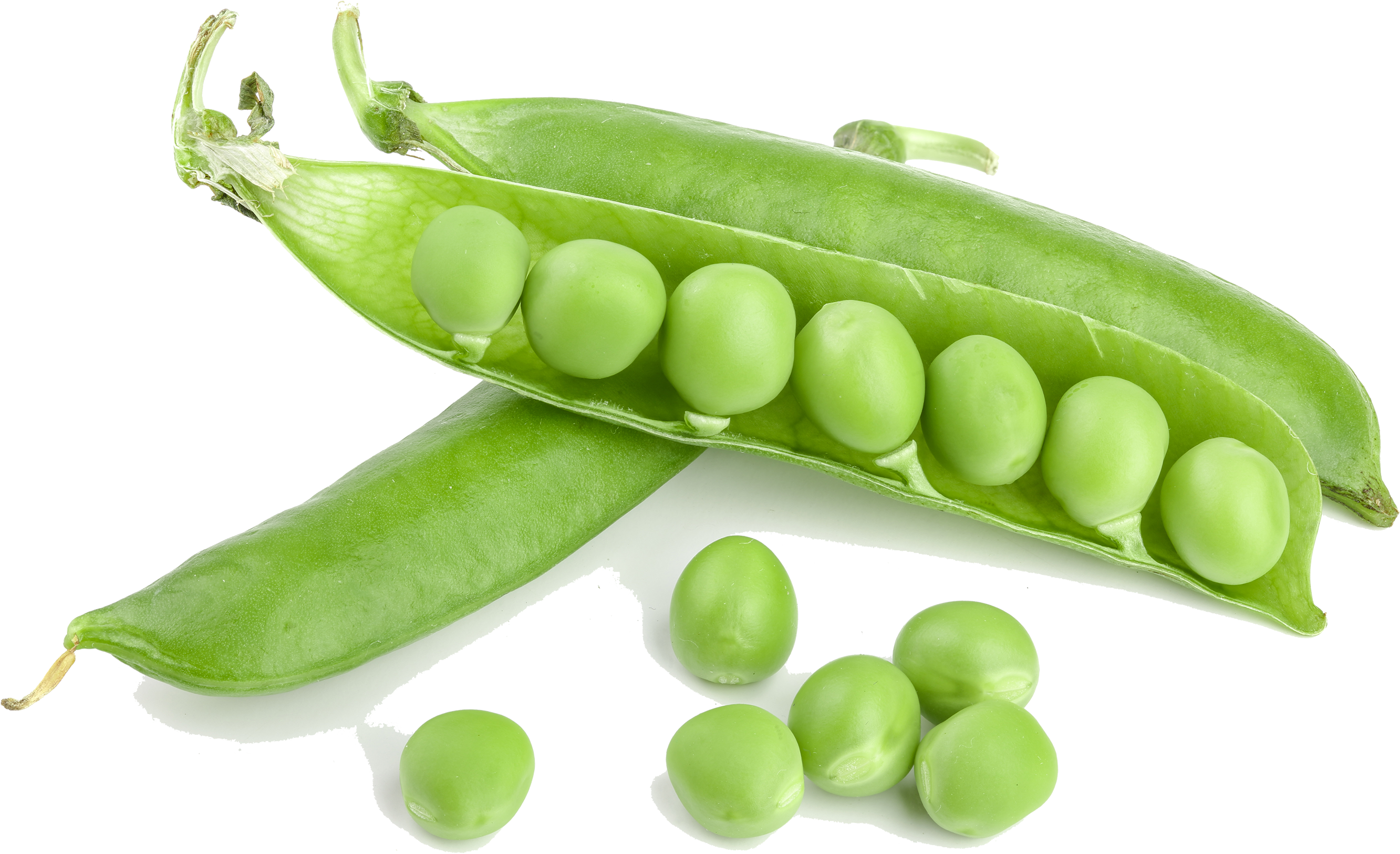 Agronomic Data - Green Pea (2684x1650), Png Download