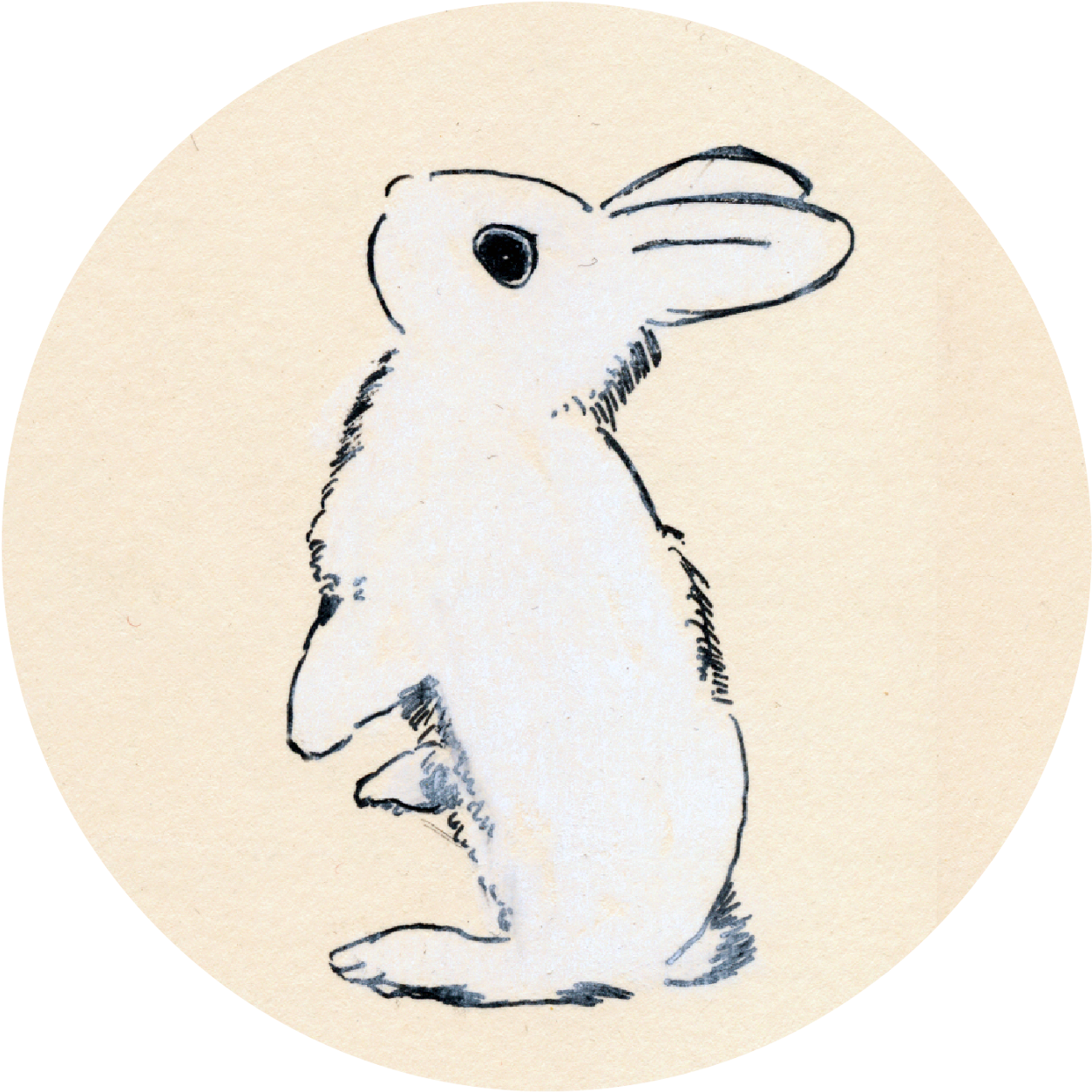 Initial Pen And Chalk Drawing - Cartoon (1340x1340), Png Download
