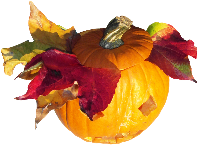 Laminated Poster Pumpkin Orange Harvest Thanksgiving - Pumpkin (832x720), Png Download