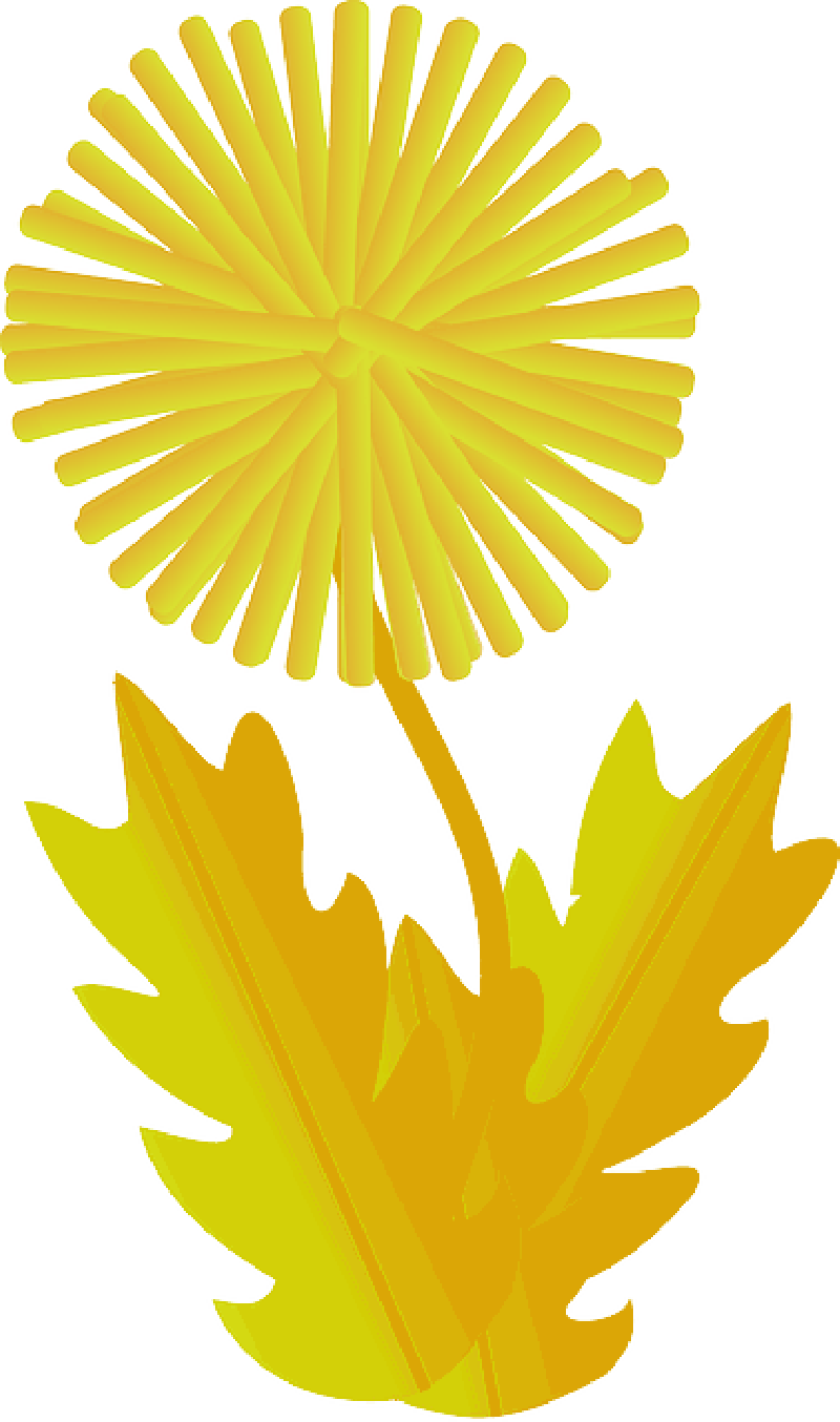 Mb Image/png - Dandelion Clip Art (800x1354), Png Download