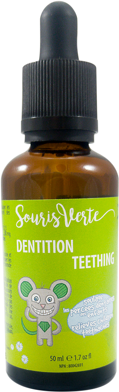 Souris Verte Dentition (800x900), Png Download