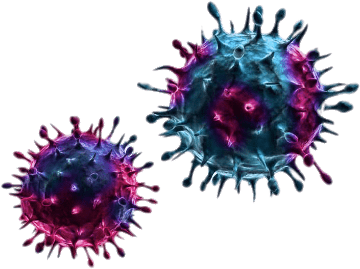 Blue And Purple Viruses - Integrated Study Of Viral Genomes [book] (960x722), Png Download
