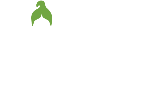 Goddesscecilia Logo Tagline Ko Rgb Greenfin - North Korean President Funny (532x319), Png Download