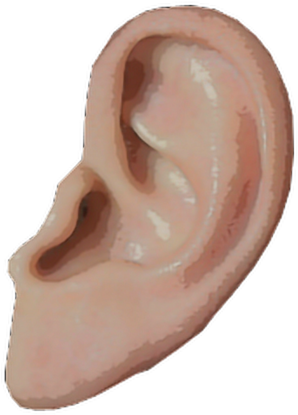 Ear Png (1024x1024), Png Download