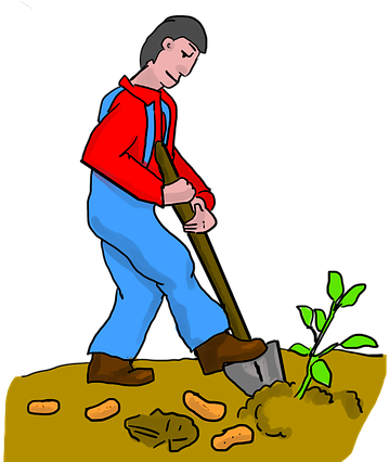 Sweet Potato, Digging, Dig, Potato, Potatoes, Farmer - Dig Imagenes (640x425), Png Download