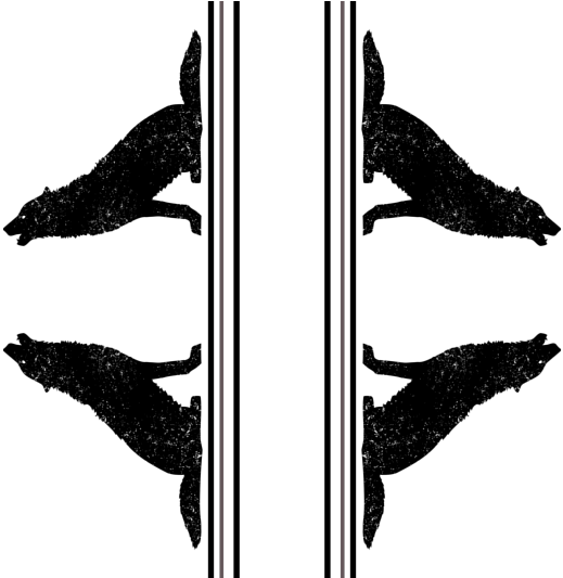 Fish (800x532), Png Download