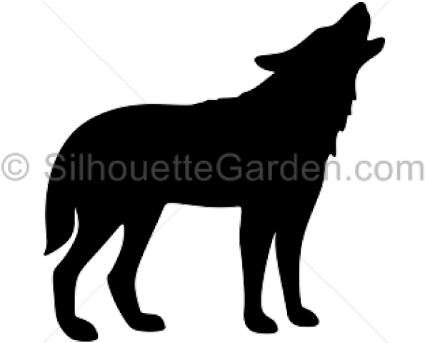 Wolf Silhouette - Clip Art (640x480), Png Download