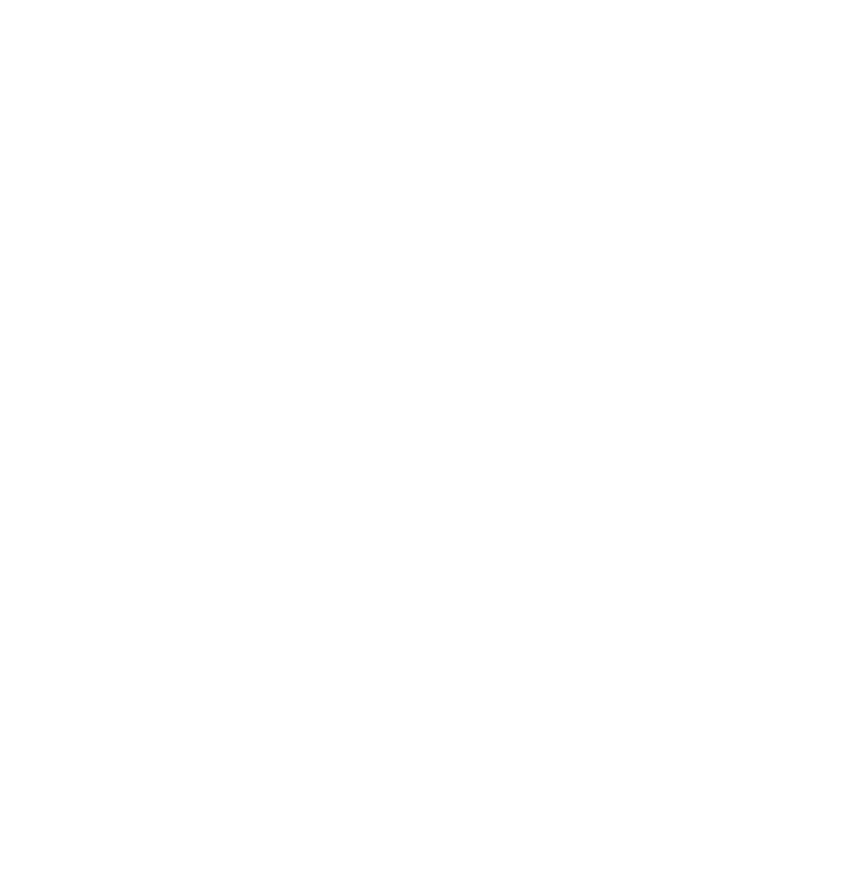 Download Hawk Silhouette Png White Hawk Transparent Full Size PNG