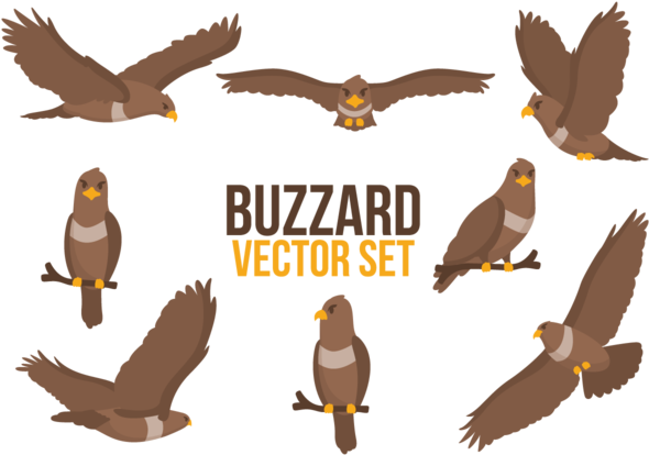 Buzzard Cartoons Vector - Buzzard (700x490), Png Download