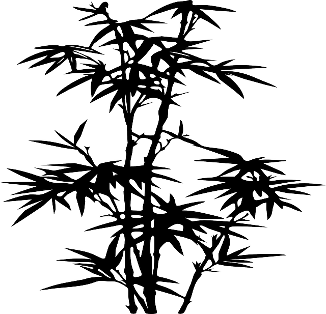 Silhouette, Plants, Bamboo, Leaf, Tree, Danny, Allen - Bamboo Sticker (640x617), Png Download