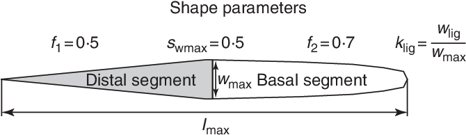 Leaf Silhouette Computed With The Shape Model Using - Lmax Exchange (669x200), Png Download
