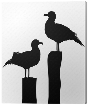 Seagull Silhouette (400x400), Png Download