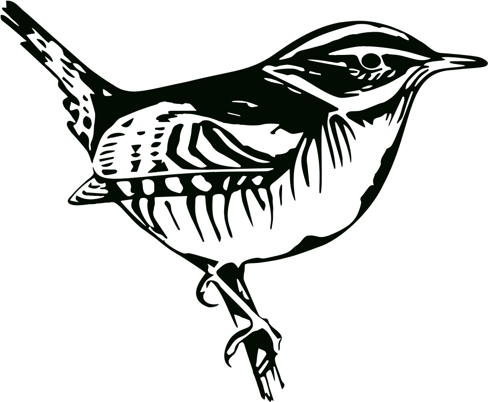 Perched Bird Silhouette - Clip Art (1000x823), Png Download