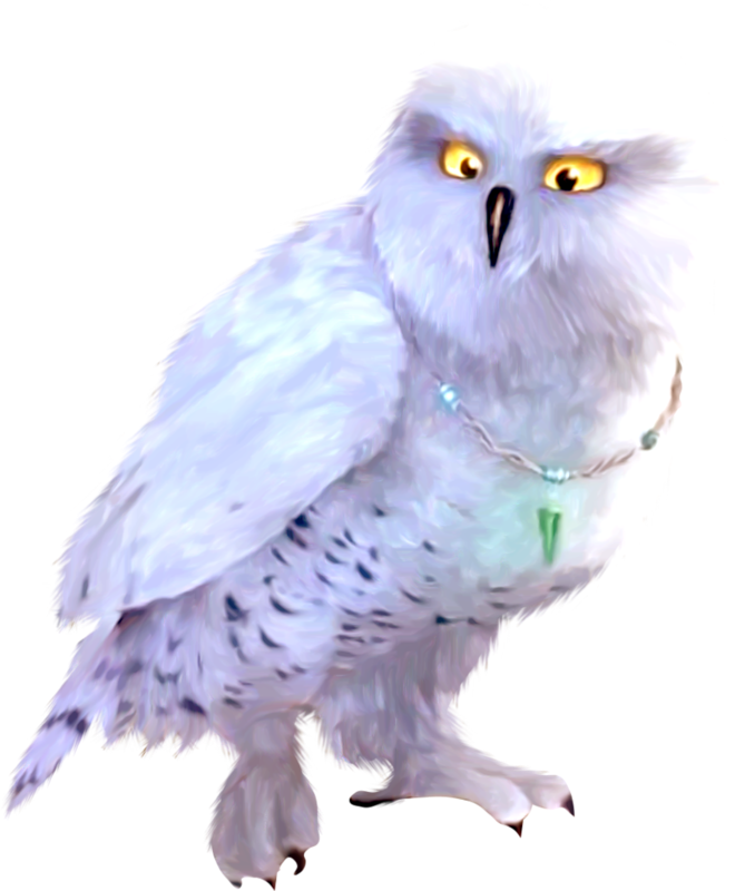 Publicat De Eu Ciresica La - Little Owl (660x800), Png Download