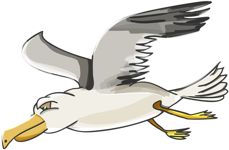 Albatross Clipart Beach - Gulls (800x720), Png Download