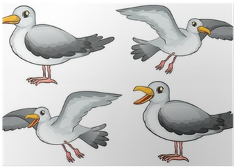Cartoon Seagulls (400x400), Png Download
