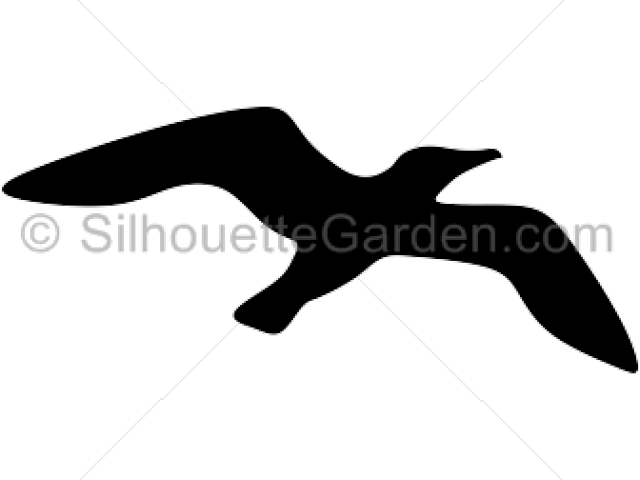 Clip Art (640x480), Png Download