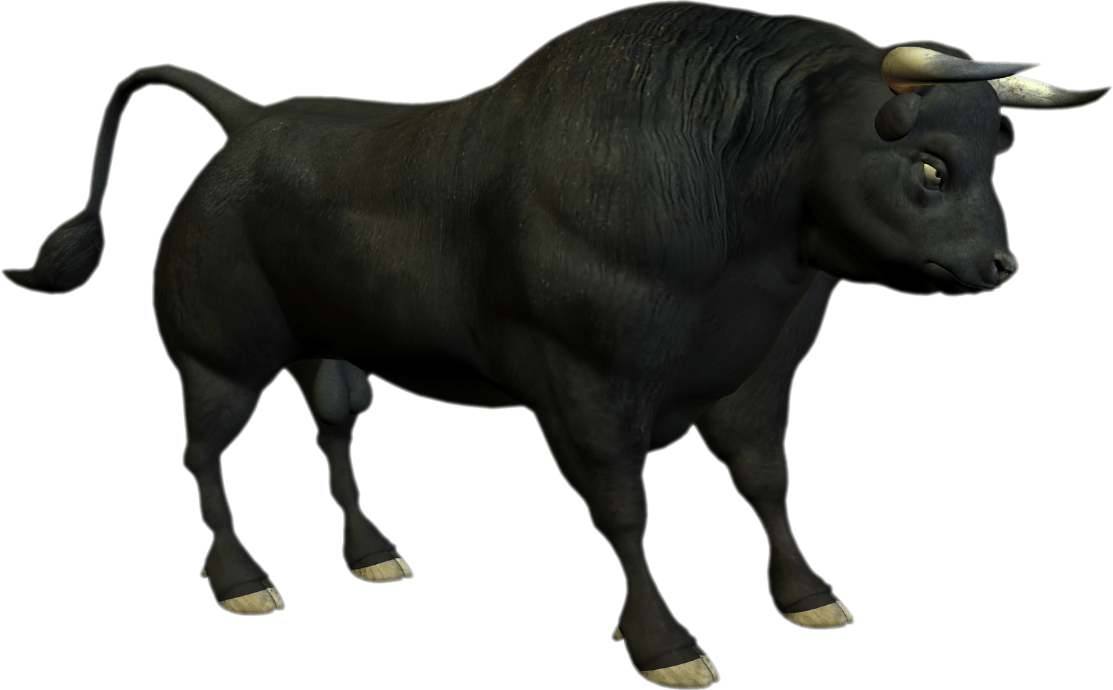 Bull Png (1600x992), Png Download