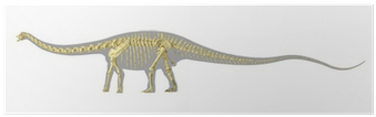 Diplodocus Dinosaur Silhouette, With Full Photo-realistic - Dinosaur (400x400), Png Download