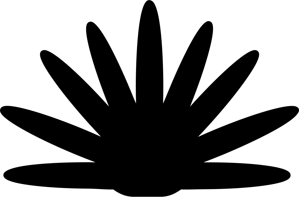 Agave Plant Silhouette Of Mexico Comments - Hand (980x646), Png Download