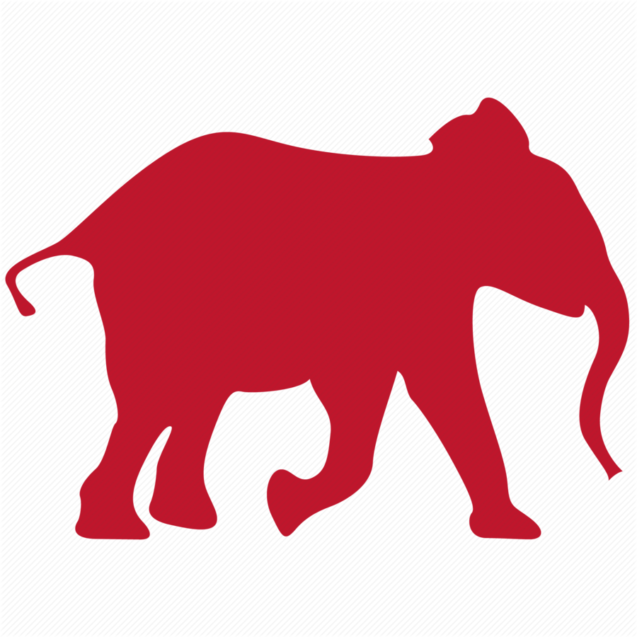 Download Elephant Icon Transparent Clipart Indian Elephant - Elephant Icon Transparent (900x900), Png Download