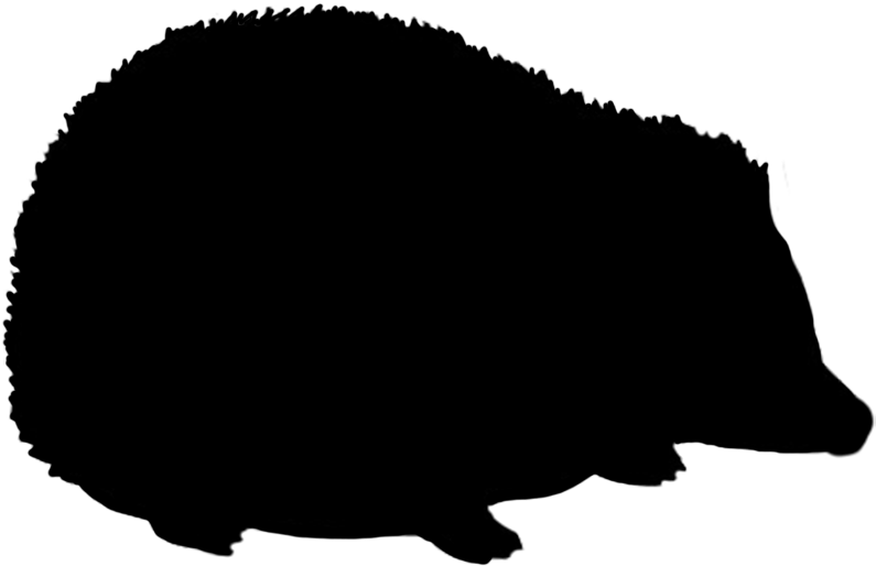 Rabbit Silhouette, Hedgehog Silhouette - Hedgehog Silhouette Png (827x556), Png Download